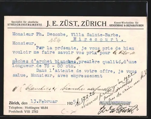 Künstler-AK Zürich, J. E. Züst, Theaterstrasse 16, Violine