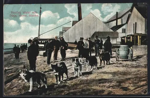 AK Nome, AK, Hauling Water with Dogs