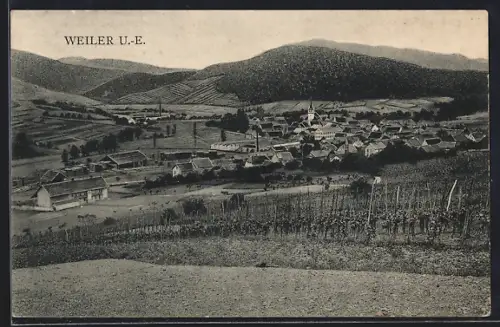 AK Weiler, Totalansicht von einer Anhöhe aus, Weinstöcke im Vordergrund am Hang