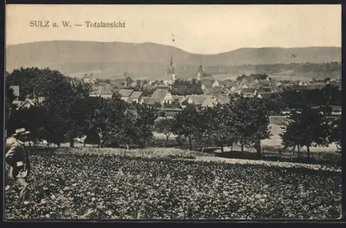 AK Sulz u. W., Totalansicht mit Kirche