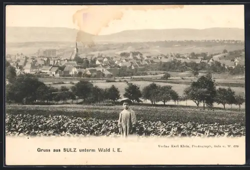 AK Sulz unterm Wald, Panorama mit Kirche
