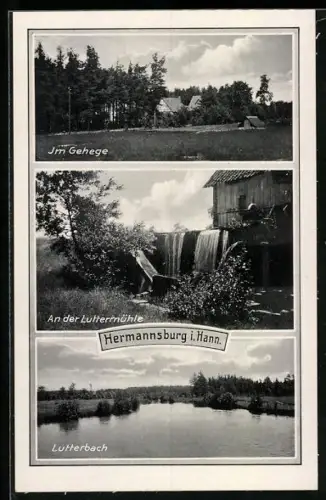 AK Hermannsburg i. Hann., Im Gehege, Luttermühle, Lutterbach