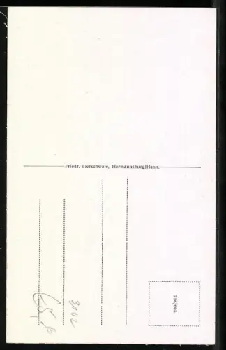 AK Hermannsburg i. Hann., Im Gehege, Luttermühle, Lutterbach