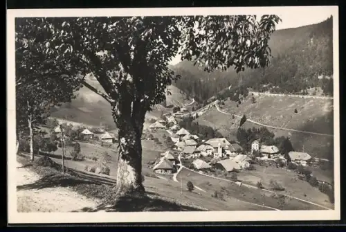 AK Aftersteg /Schwarzwald, Ortsansicht, Tal, Bauernhäuser