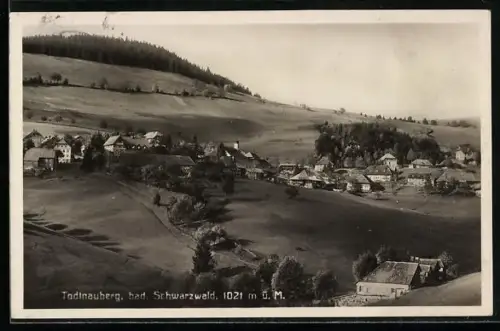 AK Todtnauberg /Bad. Schwarzwald, Ortsansicht