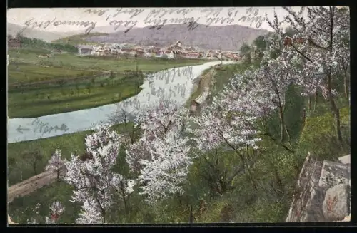 AK Witzenhausen, Baumblüte an der Werra