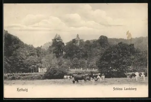 AK Kettwig, Schloss Landsberg mit Kühen