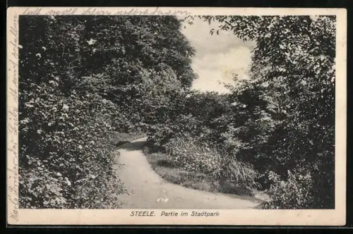 AK Steele, Partie im Stadtpark