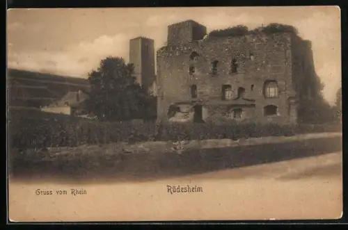 AK Rüdesheim /Rhein, Blick zur Burg