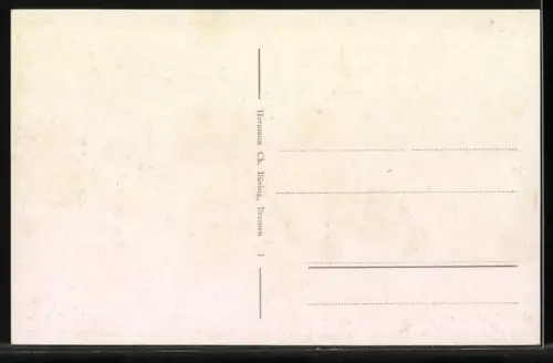AK Oldenburg i. Old., Schloss mit Denkmal und Strassenpartie
