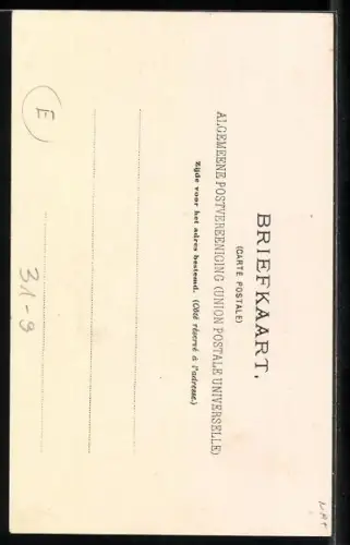 AK Muzikale Familie Souvenir Pelosi, Gitarre