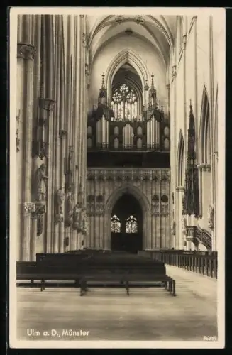 AK Ulm a. D., Orgel im Münster