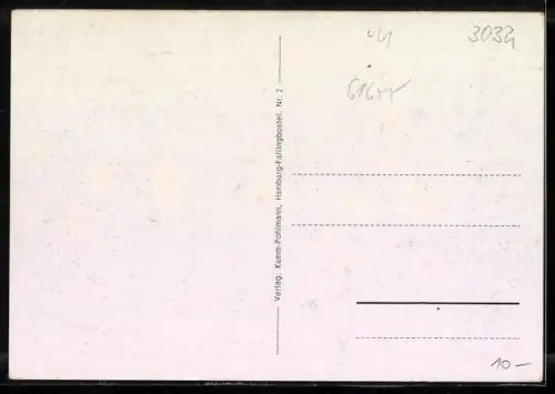 AK Fallingbostel, Gesamtansicht aus der Vogelschau