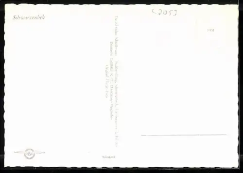 AK Schwarzenbek, Strassenpartie mit Kirche