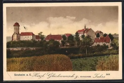 AK Sinsheim a. E., Blick auf das Stift