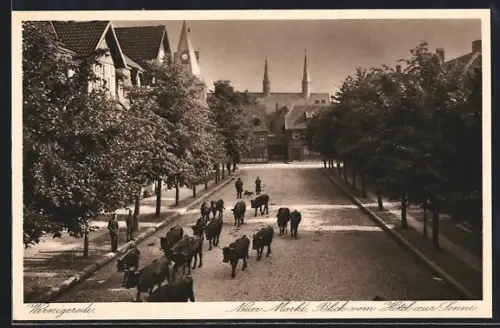 AK Wernigerode am Harz, Blick vom Hotel zur Sonne, Inh. Carl Faulbaum Neuer Markt