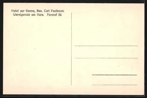 AK Wernigerode am Harz, Blick vom Hotel zur Sonne, Inh. Carl Faulbaum Neuer Markt