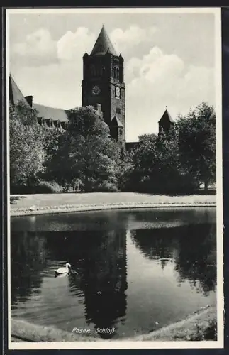 AK Posen / Poznan, Partie am Schwanenteich mit Blick auf Schloss