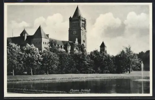 AK Posen, Blick auf das Schloss