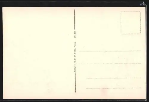AK Posen, Blick auf das Königliche Residenzschloss mit Anlagen