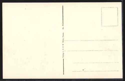 AK Posen, Partie an der Königlichen Akademie