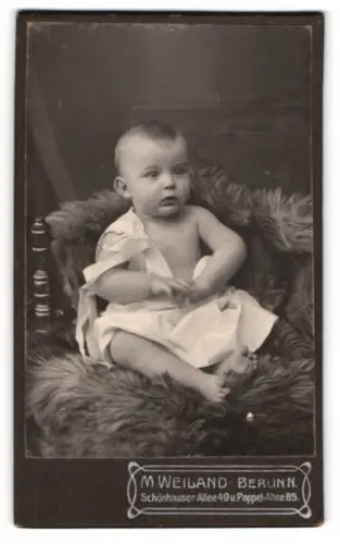 Fotografie M. Weiland, Berlin, Schönhauser Allee 49, Kleinkind auf Fell