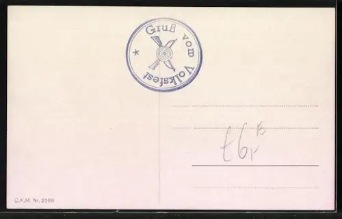 Künstler-AK Wilde Autofahrt endet in einer Schweinesuhle