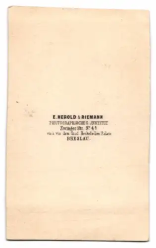 Fotografie E. Herold & Riemann, Breslau, Zwinger Str. 4, Porträt einer Dame im eleganten Kleid