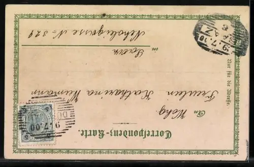 Lithographie Marienbad, Totalansicht vom Neubad