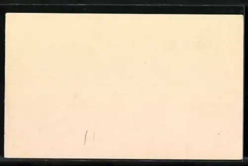 AK Karlsbad, Terrace Savoy Westend Hotel