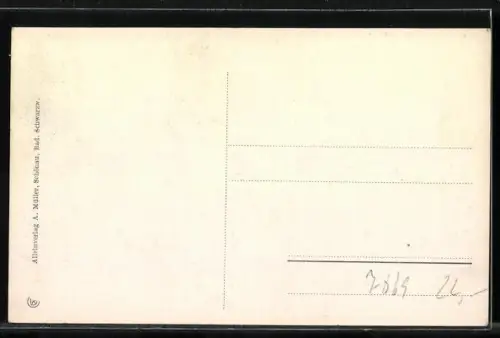 AK Schönau / Schwarzwald, Strasse am Gasthaus Löwen