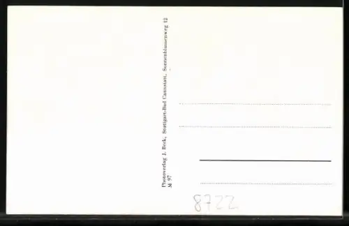 AK Oberschwarzach / Aglasterhausen, Kirche, Fachwerkhäuser, Strassenpartie