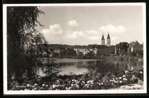 AK Waldsee / Württ., Stadtansicht mit See und Kirche