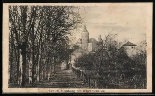 AK Nümbrecht, Schloss Homburg, Kastanienallee