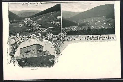 AK Peter-Baude, Ortspartie, Panorama