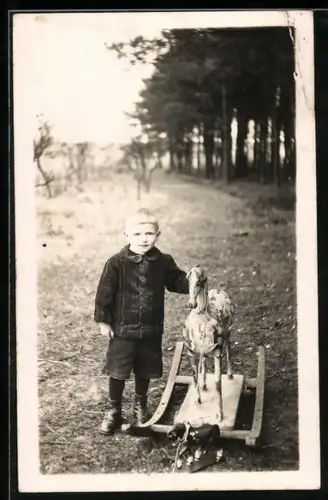 Foto-AK Kleiner Junge mit seinem Schaukelpferd