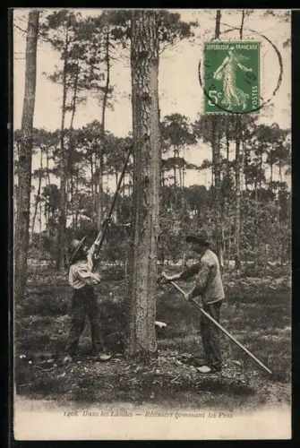 AK Dans les Landes, Résiniers gremmant les Pins, Harzer bei der Arbeit
