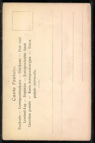 Foto-Collage-AK Dame mit imposantem Hut in silbernem Rahmen