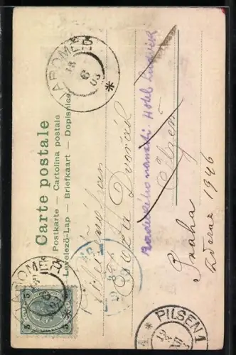 Foto-Collage-AK Elegante junge Frau in nachdenklicher Poste