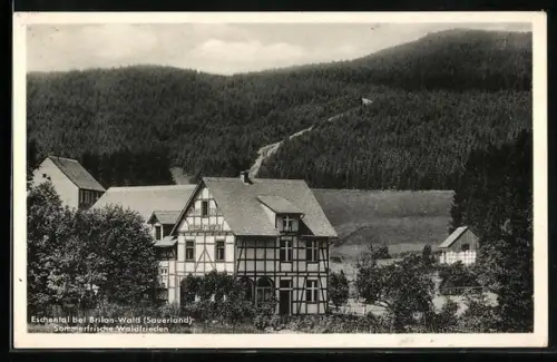 AK Eschental / Brilon, Gasthof und Pension Waldfrieden