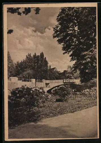 AK Halle /Saale, Brücke im Park