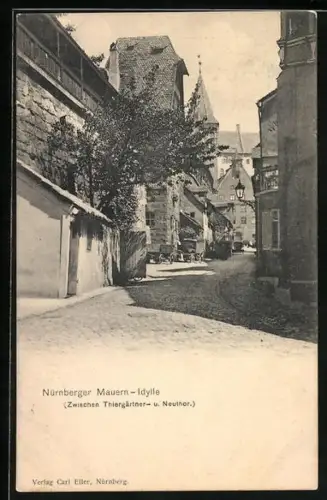 AK Nürnberg, Mauern-Idylle zwischen Thiergärtner- und Neuthor