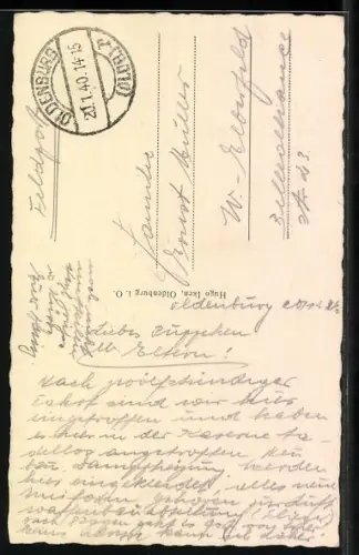 AK Oldenburg i. O., Löwendenkmal und Schloss