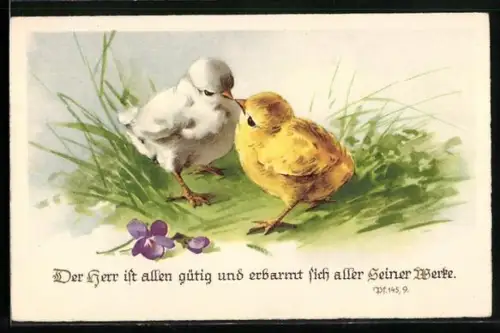 AK Der Herr ist allen gütig..., Zwei turtelnde Küken
