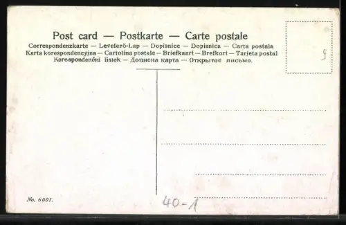 AK Prosit Neujahr!, Du kannst mit Deinem Angesicht keine Mädchen mehr entzücken..., Scherz