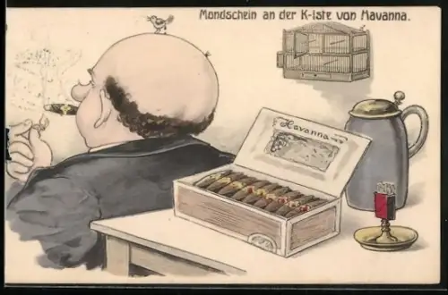 Künstler-AK Mondschein an der Kiste von Havanna, kleiner Vogel kackt auf die Glatze des Zigarrenrauchers