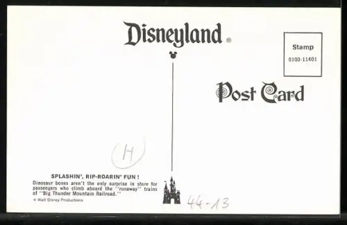 AK Disneyland, Splashin`, Rip-Roarin` Fun!