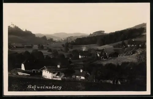 AK Schweinsberg / Falkenstein, Ortsansicht mit Landschaft