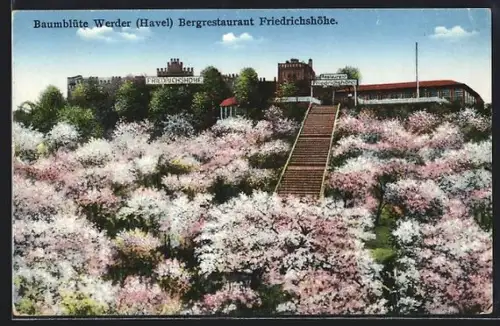 AK Werder / Havel, Bergrestaurant Friedrichshöhe