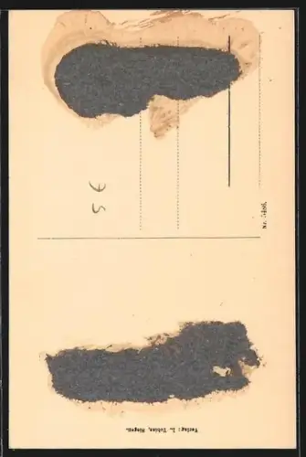 AK Siegen, Markt, Nikolaikirche u. Reiterdenkmal aus der Vogelschau